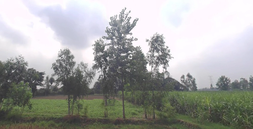 Garh Mukteshwar, Uttar Pradesh 245205, India