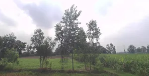 Garh Mukteshwar, Uttar Pradesh 245205, India preview 3