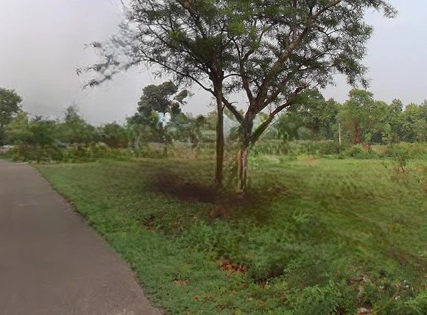 Manduwala, Naugaon, Uttarakhand 248007, India