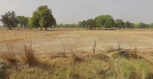 Sahur, Maharashtra, India preview 2