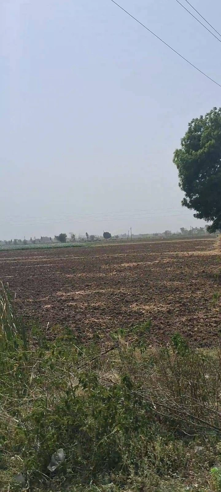 Sargoth, Rajasthan 332404, India