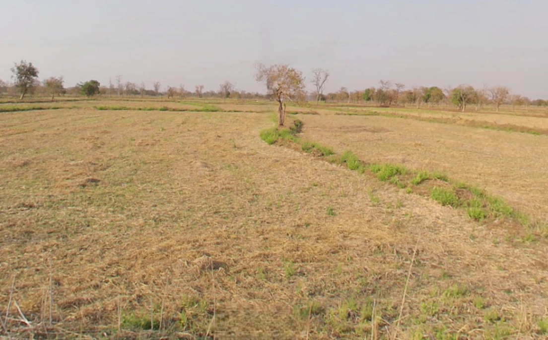 Medesara, Chhattisgarh 490036, India