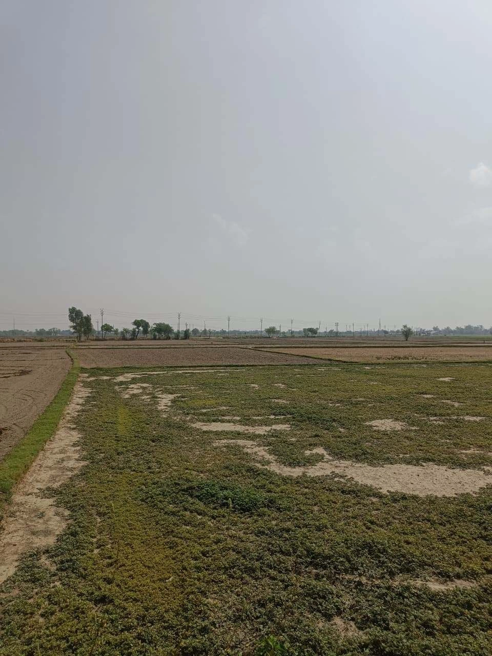 Aou, Rajasthan, India
