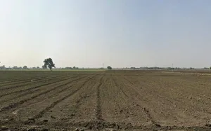 Gindwanya, Madhya Pradesh 456224, India preview 2