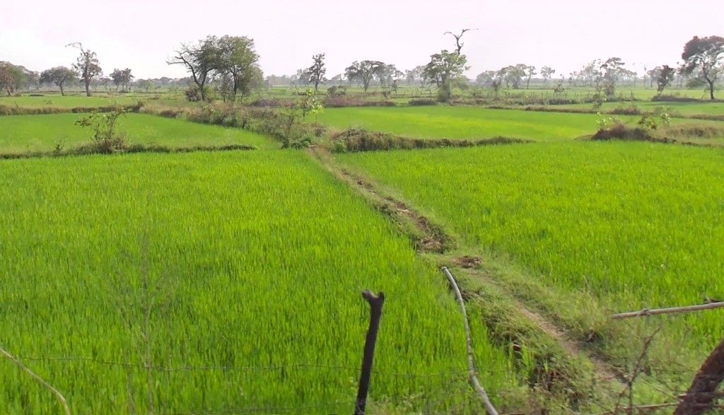 Kusmi, Chhattisgarh 491332, India preview 2