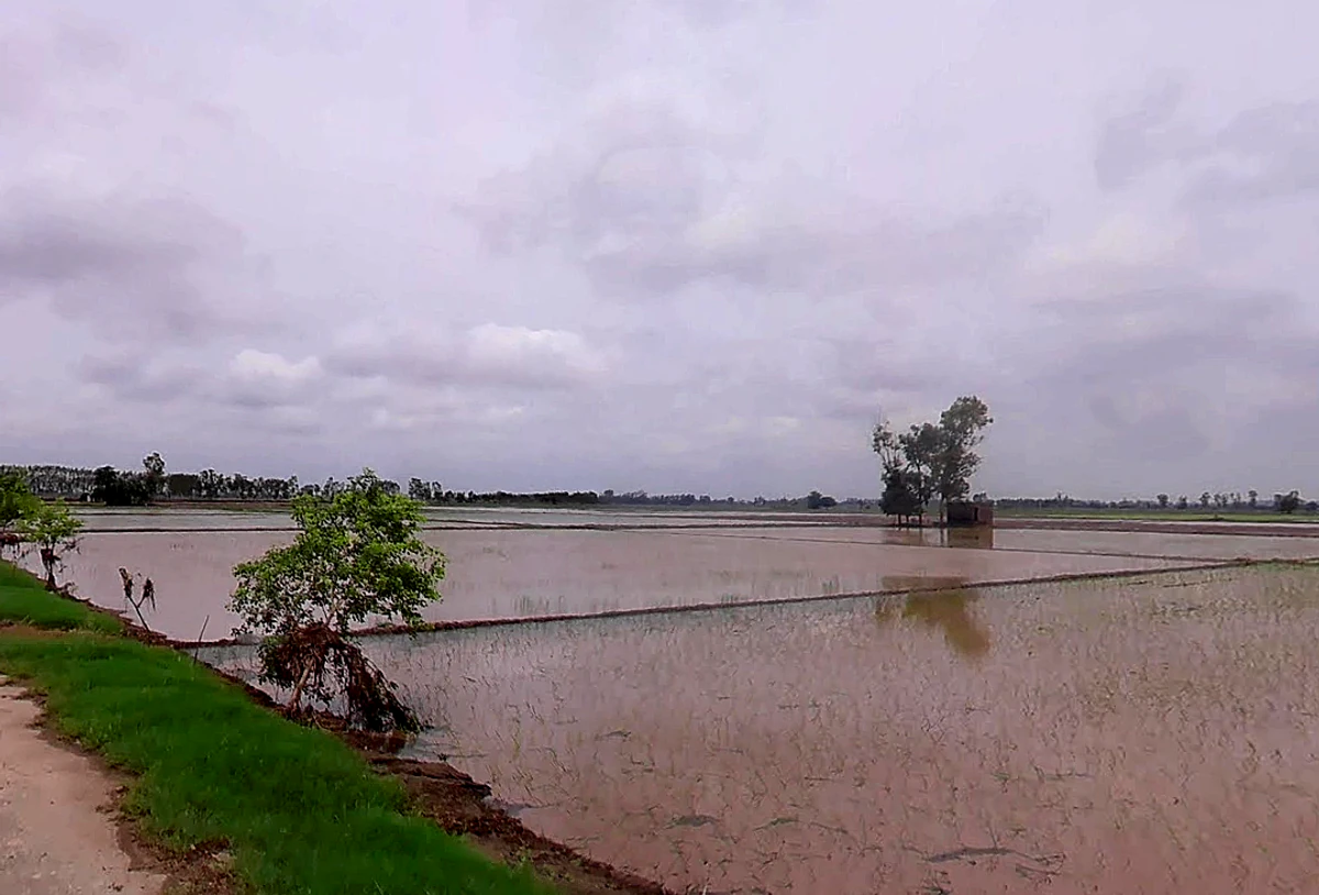 Bopur, Haryana 136034, India