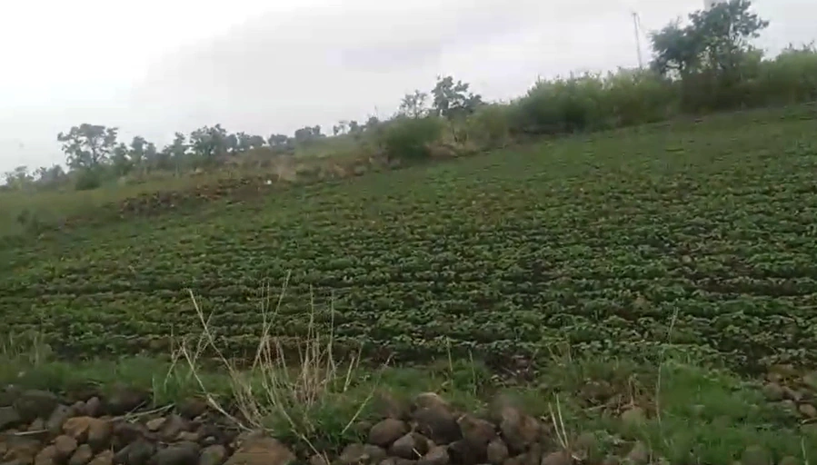 683G+6WX, Dewas, Jamoniya, Madhya Pradesh 455116, India