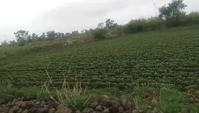 683G+6WX, Dewas, Jamoniya, Madhya Pradesh 455116, India preview 2