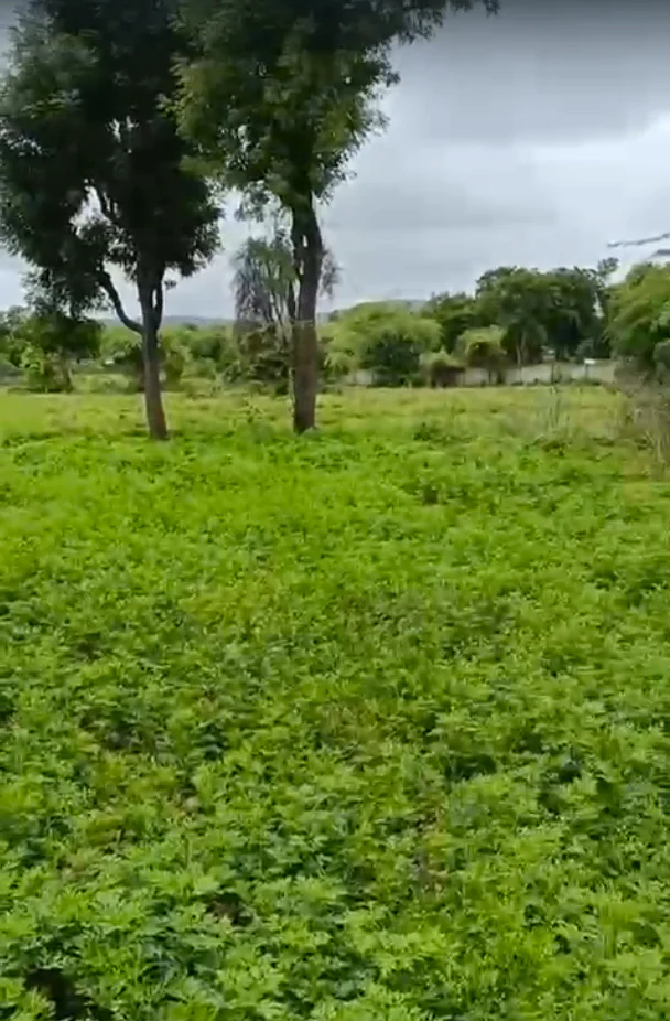 Gudli, Rajasthan 313024, India preview 3