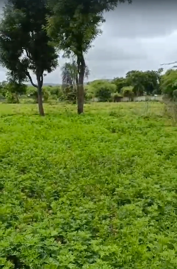 Gudli, Rajasthan 313024, India