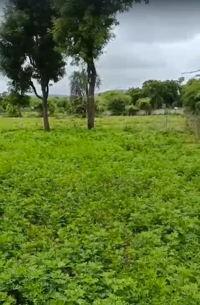 Gudli, Rajasthan 313024, India preview 3