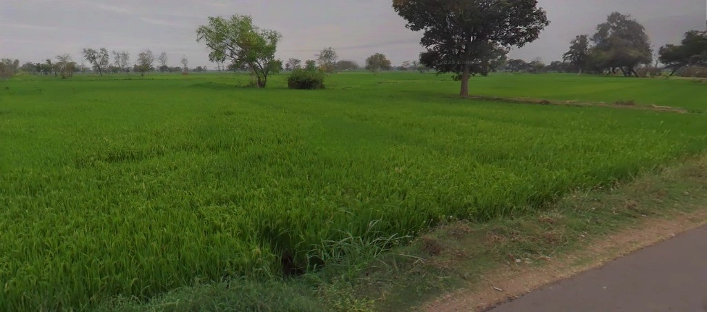 Bhothli, Chhattisgarh 493773, India