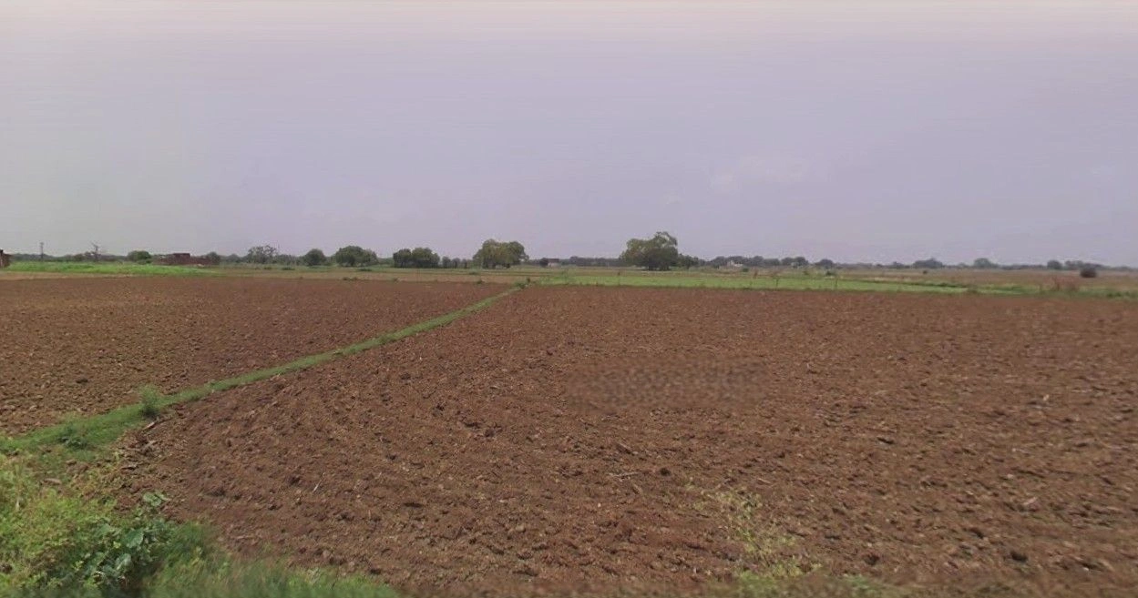 Chuliana, Haryana 124501, India