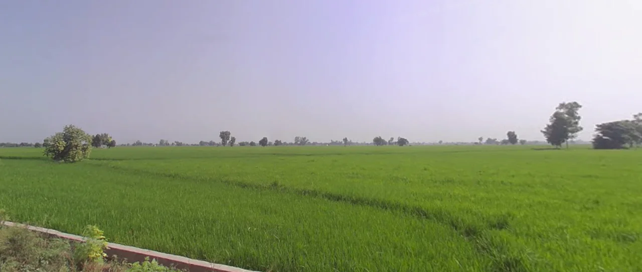 Banga, Punjab 144505, India preview 2