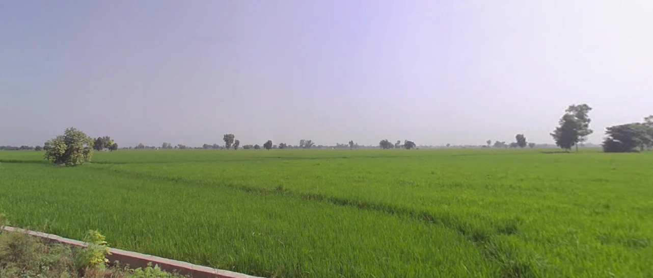Banga, Punjab 144505, India