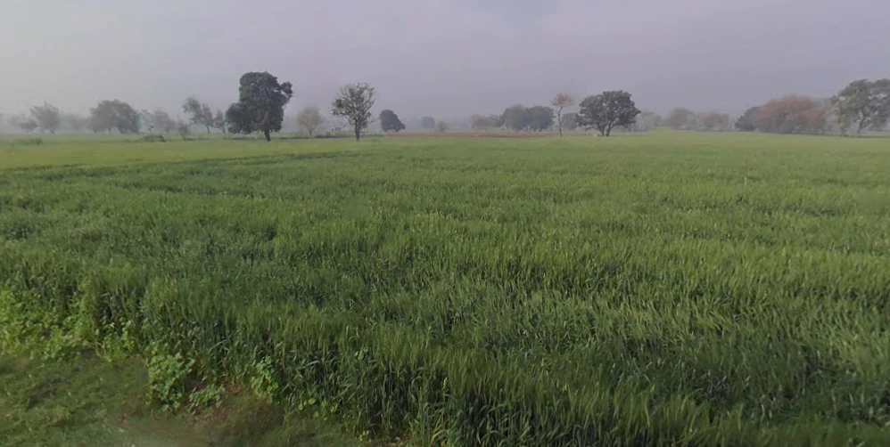 Sonipat, Haryana 131001, India