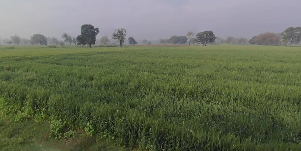 Sonipat, Haryana 131001, India