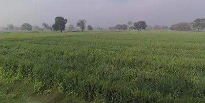 Sonipat, Haryana 131001, India preview 2