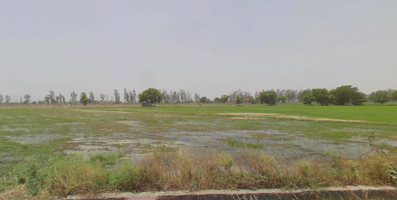 Sector 26A, Jind Byp, Jind, Teg Bahadurpur, Haryana 126102, India