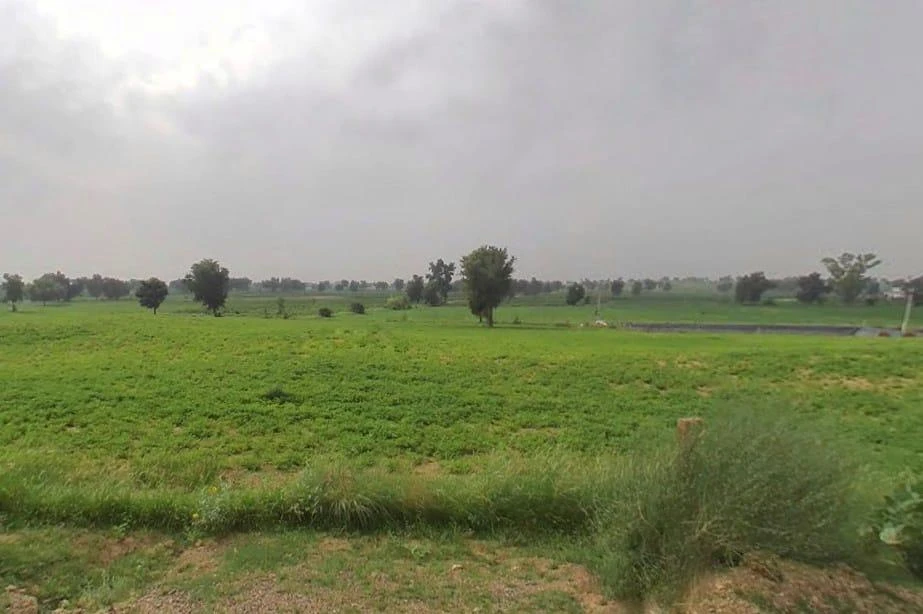 WVM8+576, Arjansar, Rajasthan 334604, India