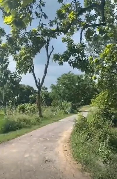 Tindwari, Banda, Uttar Pradesh 210128, India preview 3
