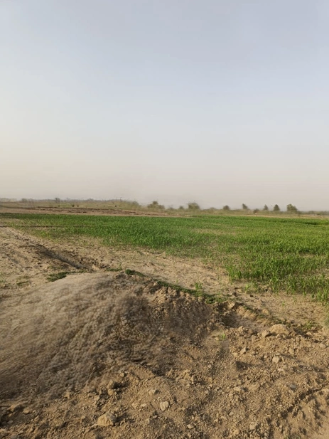 Khurja, Uttar Pradesh 203131, India