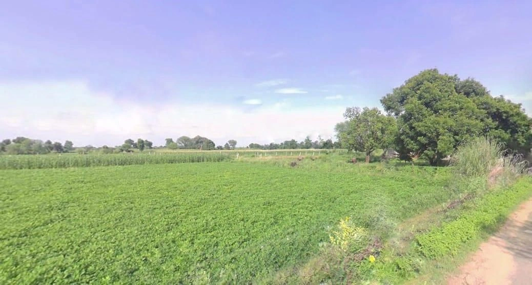 Manpura, Rajasthan 331023, India