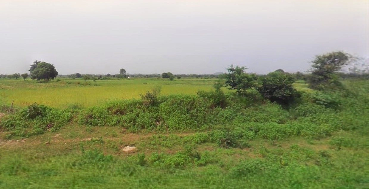 Hasanpur, Uttar Pradesh 244241, India preview 2