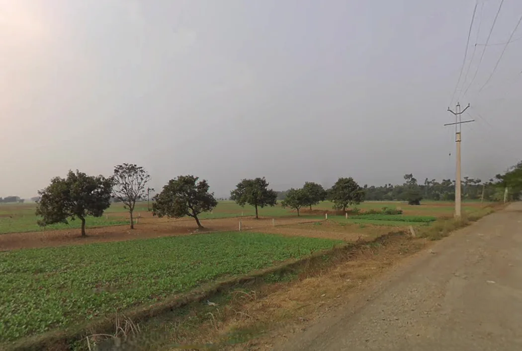 JGF4+QJW, Reekjoyoni, Khamar, West Bengal 700135, India preview 3