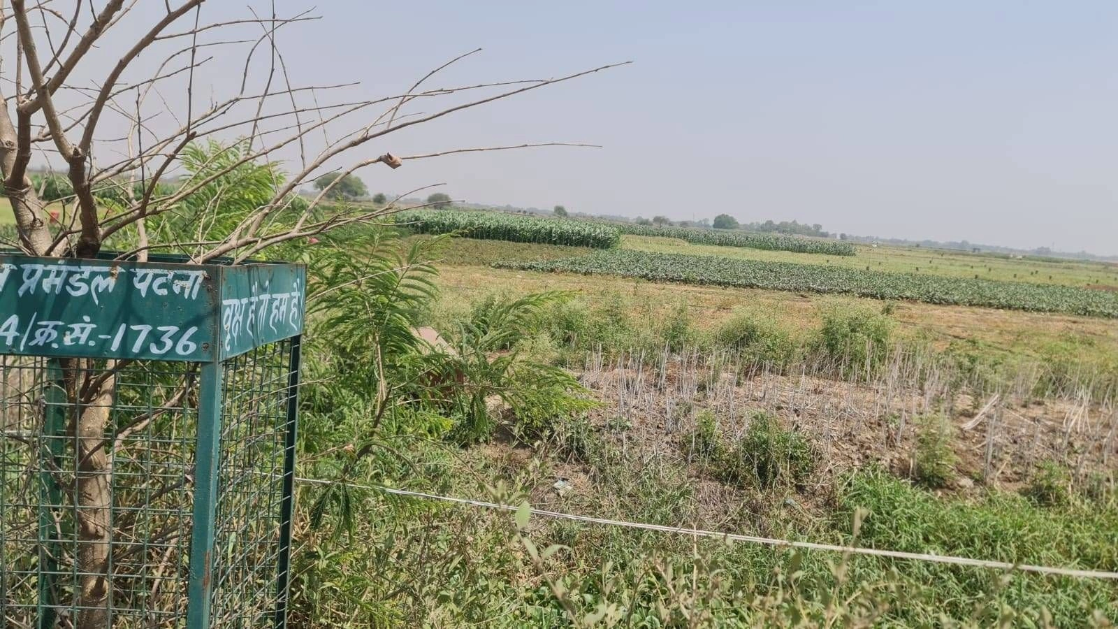 Fatehpur, Bihar 800007, India preview 4