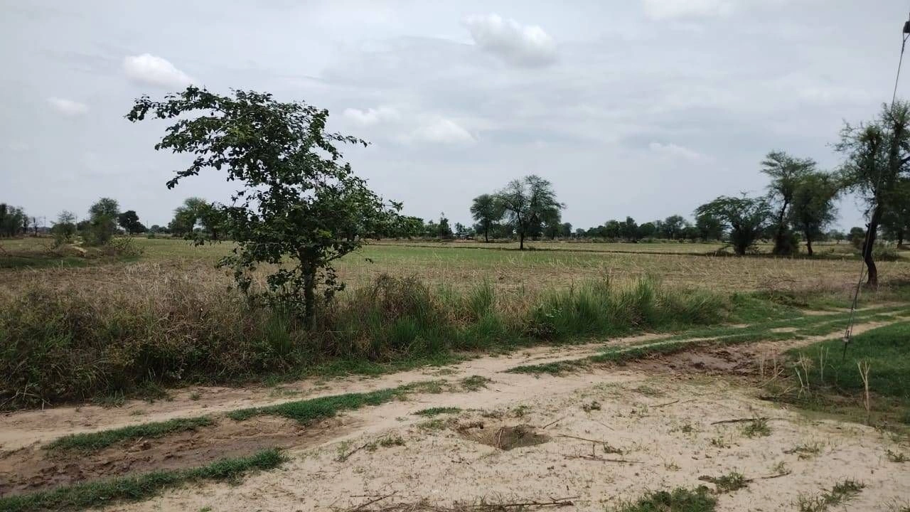 Naugaon, Rajasthan 301025, India