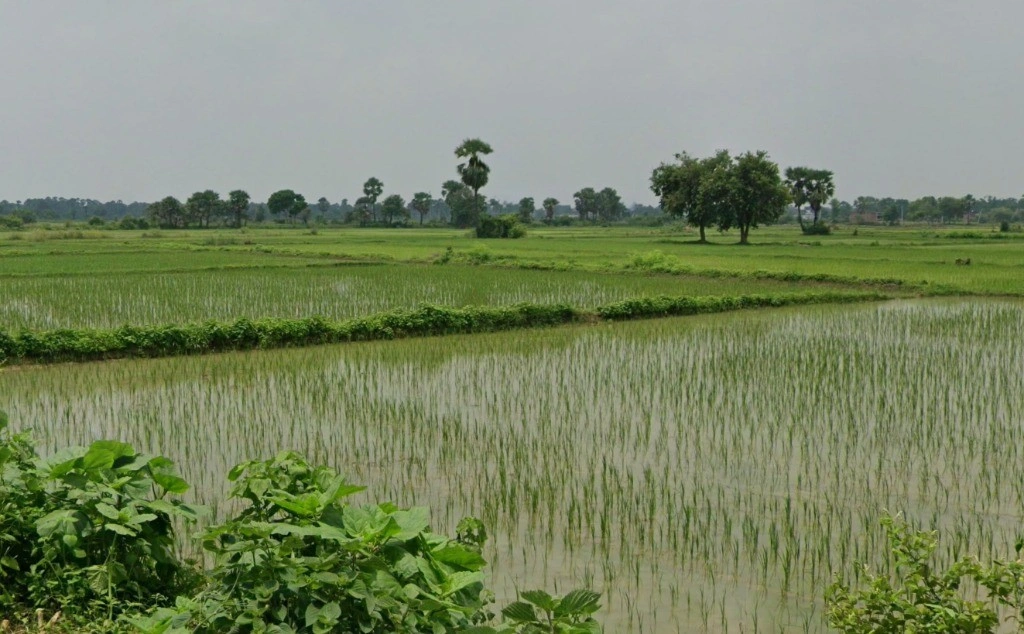 Nawagarh, Chhattisgarh 491337, India