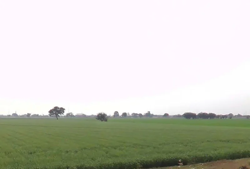 Vidisha, Madhya Pradesh 464001, India preview 2