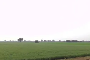 Vidisha, Madhya Pradesh 464001, India preview 2