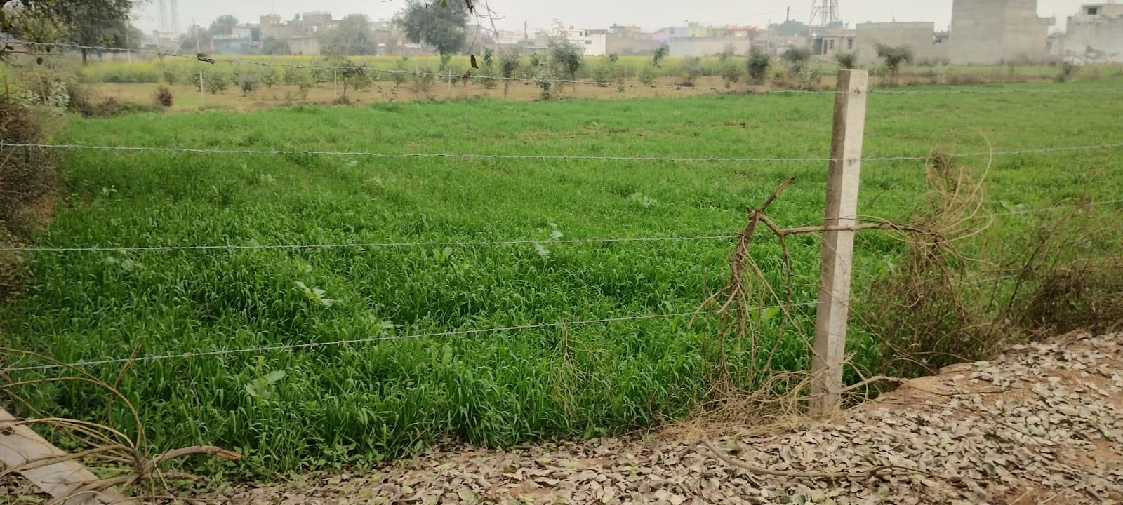 6XV3+HQ4, Nuh, Sector 86, Gurugram, Guddhi, Haryana 122105, India preview 2