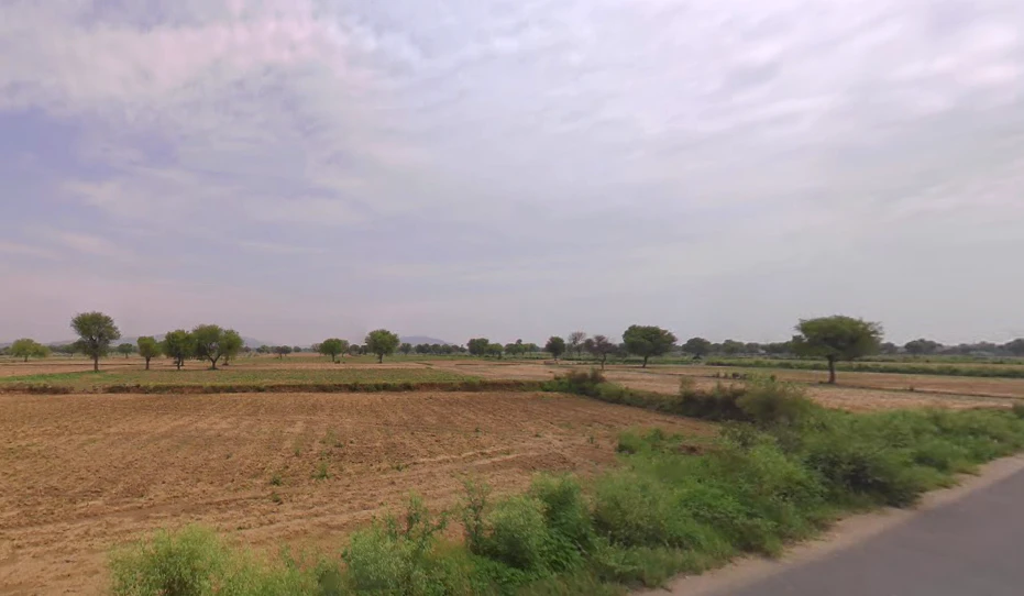 Dholi, Haryana 123029, India