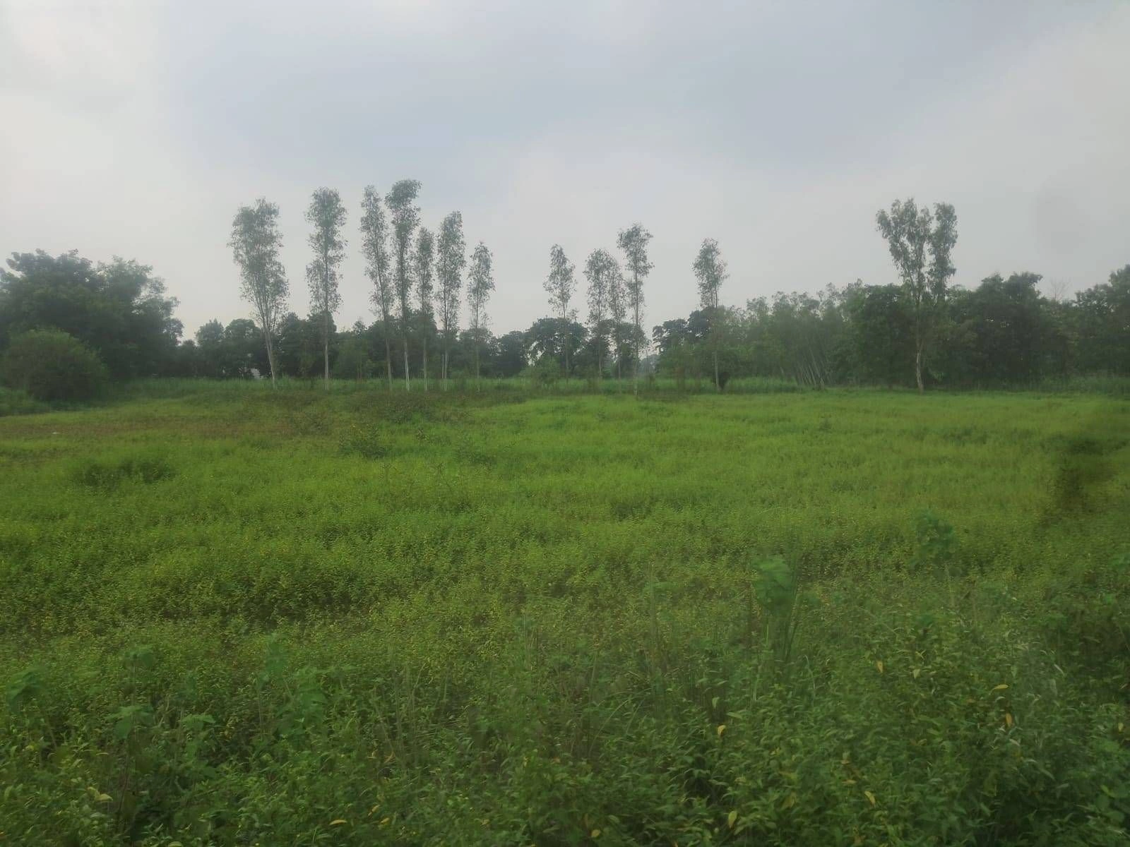 V6F7+F7J, Gonda, Ektanga, Uttar Pradesh 271319, India