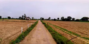 Khategaon, Madhya Pradesh 455336, India preview 2