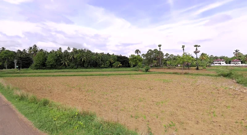 Nellichode, Kerala 678508, India preview 2