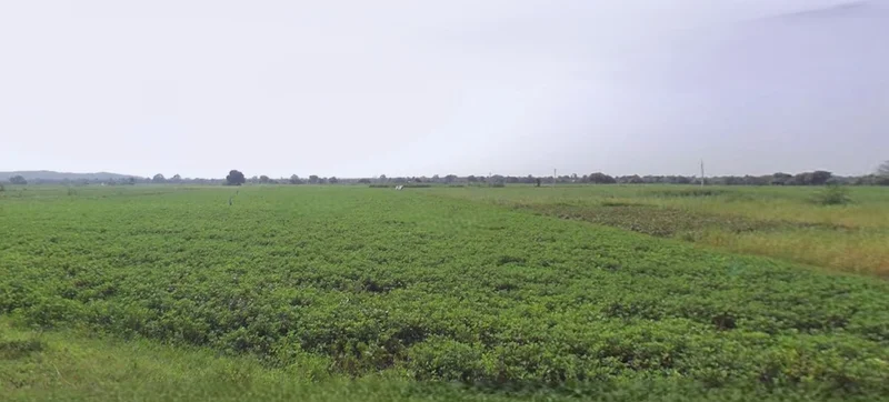 Anupgarh, Rajasthan 335701, India preview 3