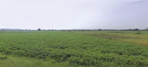 Anupgarh, Rajasthan 335701, India preview 3