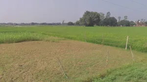 Tuiyapani, Madhya Pradesh, India preview 2