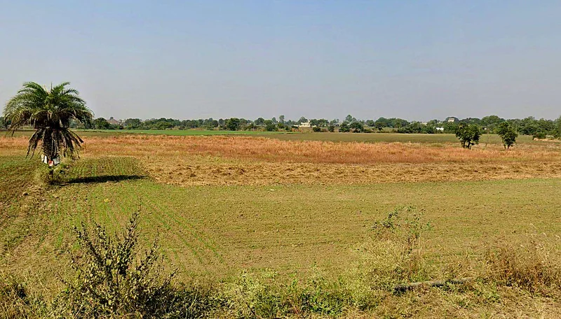 Barrai, Madhya Pradesh 462047, India preview 3