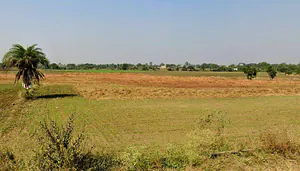 Barrai, Madhya Pradesh 462047, India preview 3