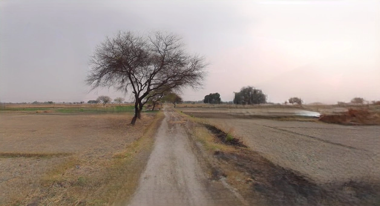 Jaisalmer, Rajasthan 345001, India