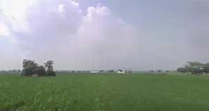 Daddu Majra Colony, Chandigarh, 160014, India preview 3