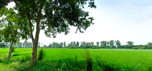 Raipur Rani, Haryana 134204, India preview 2