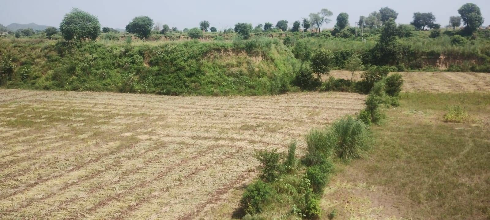 Beebanwa, Rajasthan 323001, India