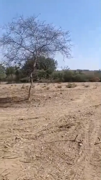 5QXF+W7 Mundlana, Haryana, India preview 3