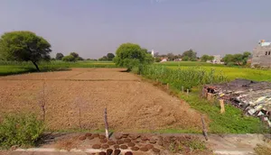Kurukshetra, Haryana, India preview 3